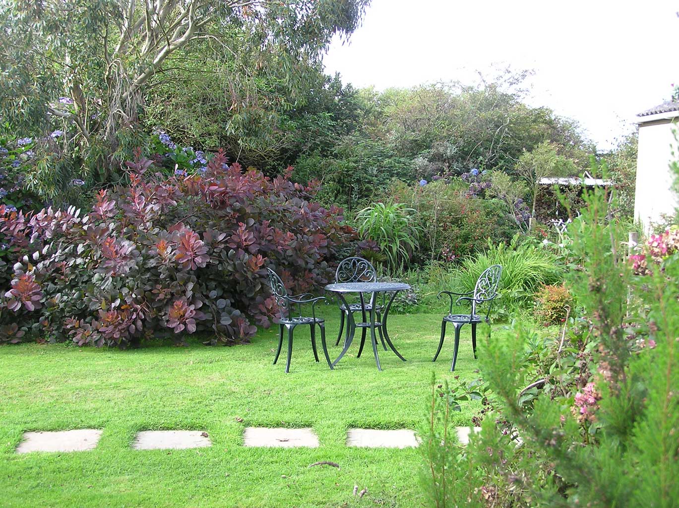 The Studio garden