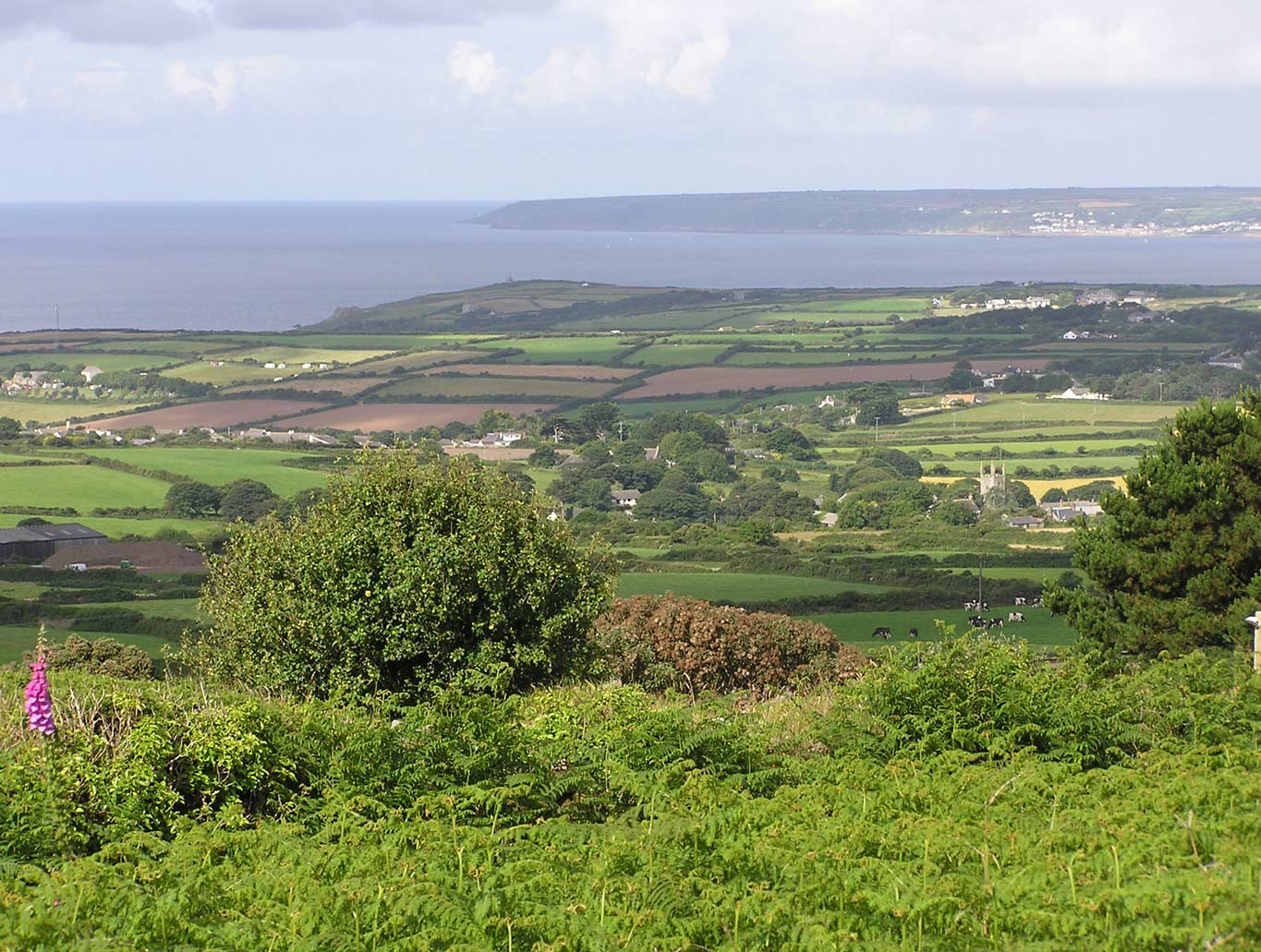 Walk up Tregonning Hill