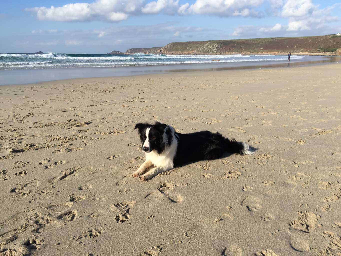 Buzz on the beach at Sennen Cove