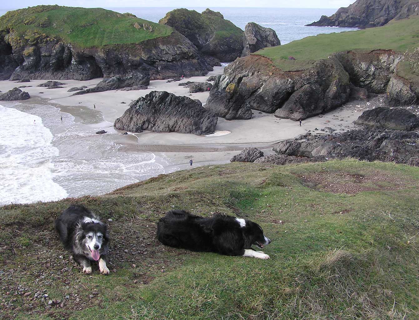 Looking down on Kynance Cove in winter