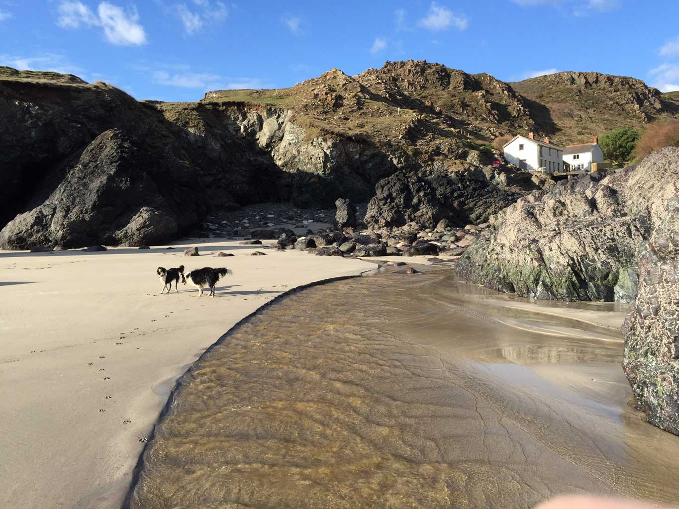 Kynance Cove looking back towards the cafe