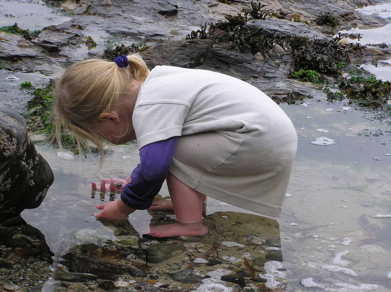 Prussia Cove - rock pooling at King's Cove